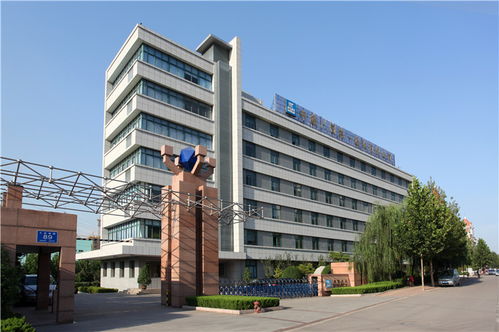 以管理升級助推企業(yè)高質量發(fā)展 中建八局一公司的總部管理實踐