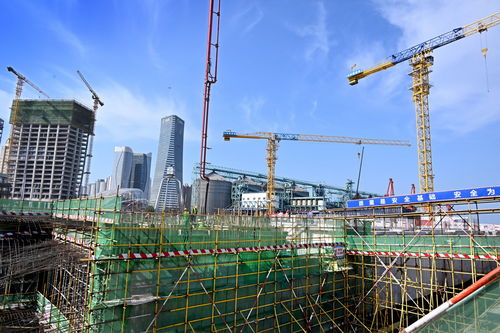 青島國(guó)際郵輪港區(qū)加速建設(shè)，企業(yè)總部管理黃金期按下快進(jìn)鍵